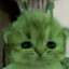 pini