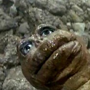 TROCKMONSTER