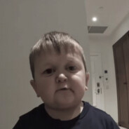 Chicken Turtle Armadillo Giraffe - steam id 76561199228636454