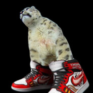 Snow Leopard with SICK kicks