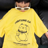 西塘再无薇薇简