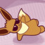Eevee Enjoyer