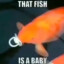 FISHLUVR02