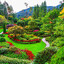 beautiful garden