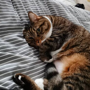 小炒面的老父亲