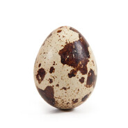 [MB]Легкие яйца