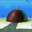 UnderMyRock