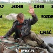 Zarky1337