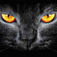 ♥♠○♠DarkSeer♠○♠♥