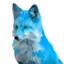 IceFox