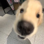 我有医保我先上