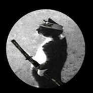 d0dg8 - steam id 76561199106342759