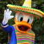 Mexican Duck