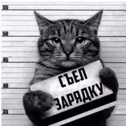 СЪЕЛ ЗАРЯДКУ