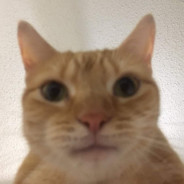 lel avatar