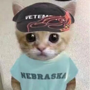 今天是个好日子