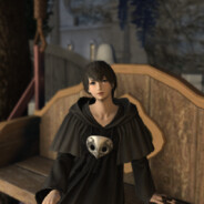 爱梅特赛尔克的狗