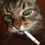 blaZe