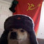 П℮Łь₥℮₦ь™