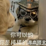 C9的shroud不是本人