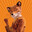Mr.Fox