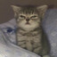 arstan_777