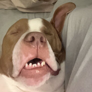 Dobe