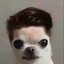 🐶Blaf Blaf 멍멍🐶