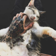 最速传说と绝凶の猛虎