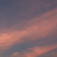 吃饭睡觉打豆豆