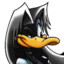 One Winged Ducky