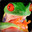 Frog2