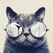 银河超威大懒猫