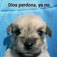 pirt0n27