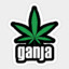 GANJA