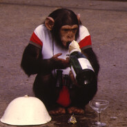 Champagnini Chimpanzini - steam id 76561198107196783