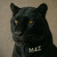 [M4Z] Black Tigers