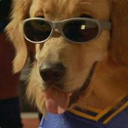 Buddy - steam id 76561197960353258