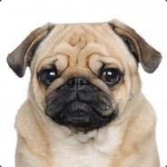 GupThePug