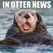Otterchaos