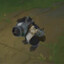 1212Gragas