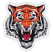 Mad TIGER