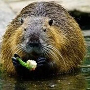 Болотный Жнец