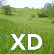 bnuuyasd1