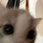Am0nYa