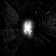 𝙬𝙖𝙣 ЭПОХА 00-х