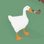 Anatidaephobia Goose