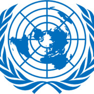 联合国ONCE联合委员会