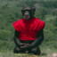ShahMonkey