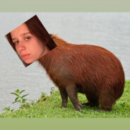 Весёлая капибара